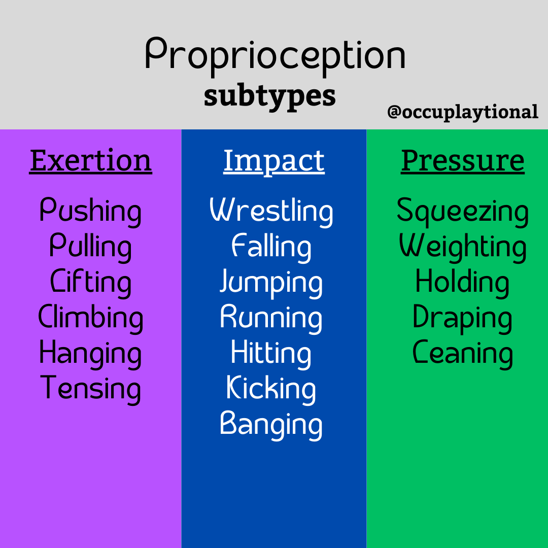 The Occuplaytional Therapist Biology Diagrams